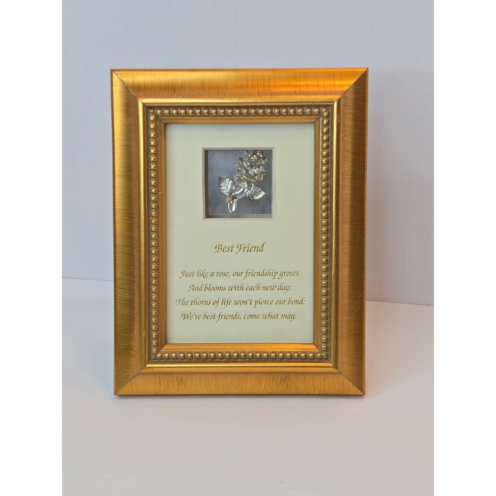 Kirkland's Best Friend Glass Rose Gold Frame Curio Shadowbox 123436/S